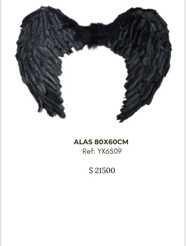 screenshot-68 Alas Negras 80x60cm