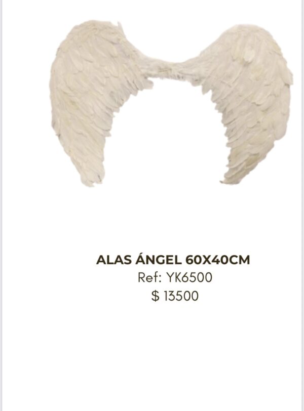 screenshot-67 Alas Ángel 60x40cm